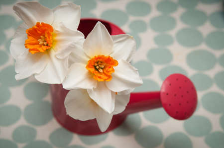 Fresh seasonal flowers on a table decorationの写真素材