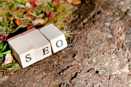 Organic growth concept for startup and small business online marketingの写真素材