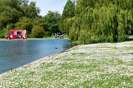 Ice cream van in the park on a sunny summer dayの写真素材