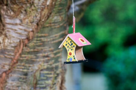 bird feeder hanging from a tree, a childs school projectの写真素材