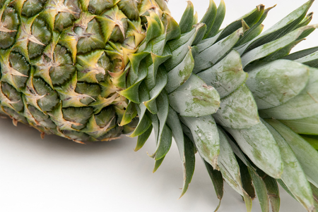 Pineapple isolated on a white backgroundの写真素材