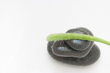 Spa treatment background of pebbles and running water with natural plantの写真素材