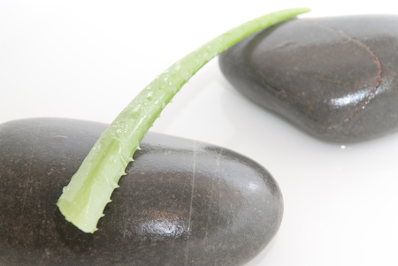 Spa treatment background of pebbles and running waterの写真素材