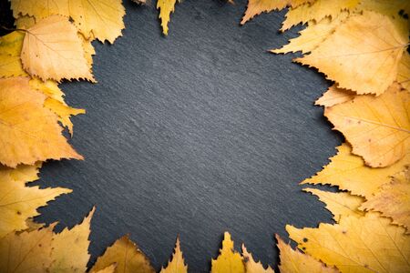 Nature background with copy space on empty black board templateの写真素材