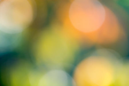 Autumn background blur of color from leavesの写真素材