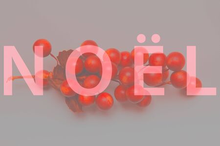 Joyeux Noel text over christmas berry backgroundの写真素材