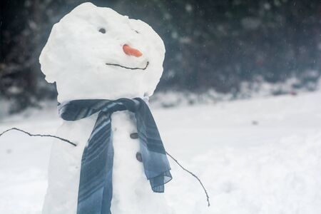 Real snowman in the garden with snow falling aroundの写真素材