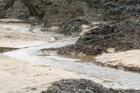 Sandy UK beach at low tide with rock poolsの写真素材