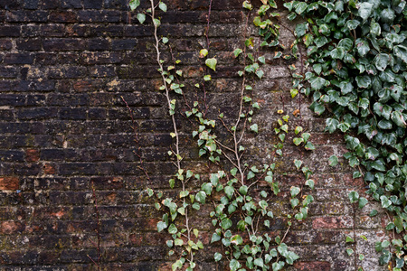 Brick wall with grungy weathered surface and copy spaceの写真素材