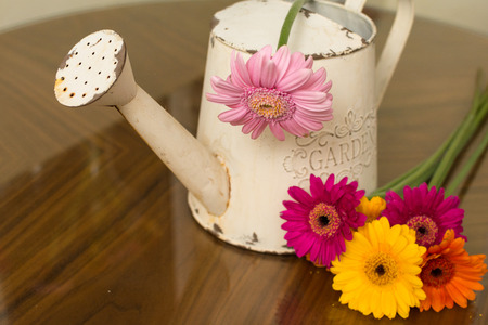Floral arrangement of bright colored flowers for gardening backgroundの写真素材