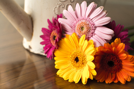 Floral arrangement of bright colored flowers for gardening backgroundの写真素材