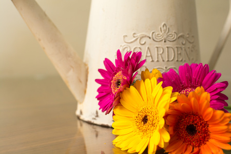Floral arrangement of bright colored flowers for gardening backgroundの写真素材