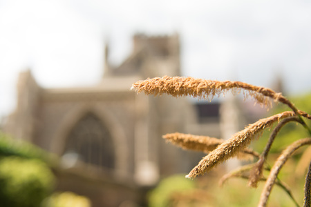 Church garden with church building blurred in the backgroundの写真素材