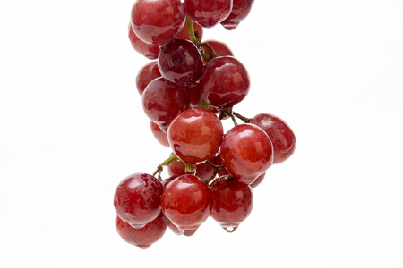 Bunch of red grapes isolated, fresh fruitの写真素材