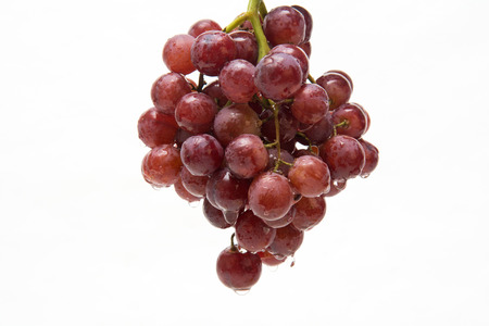 Bunch of red grapes isolated, fresh fruitの写真素材