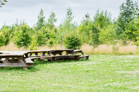 Picnic area outside in a sunny public parkの写真素材