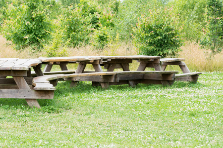 Picnic area outside in a sunny public parkの写真素材