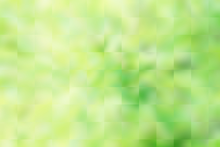 Natural green background blur from leaf and trees imageの写真素材