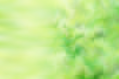 Natural green background blur from leaf and trees imageの写真素材