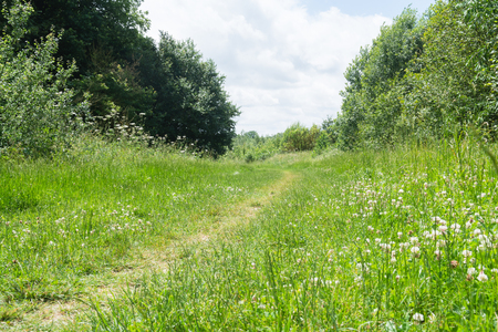 Walking or hiking route through a country parkの写真素材