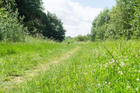 Walking or hiking route through a country parkの写真素材