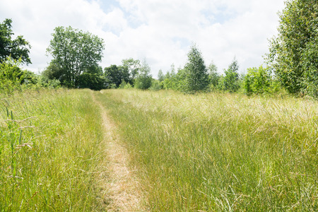 Walking or hiking route through a country parkの写真素材