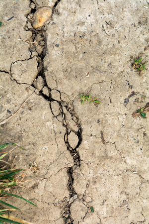 Dry earth, dried out cracked soil from hot temperature changeの写真素材