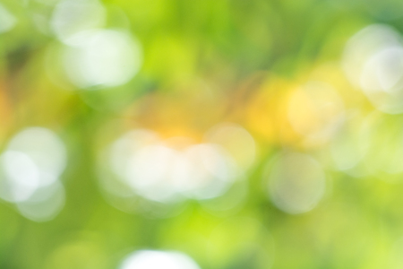 Green nature background abstract from green leavesの写真素材