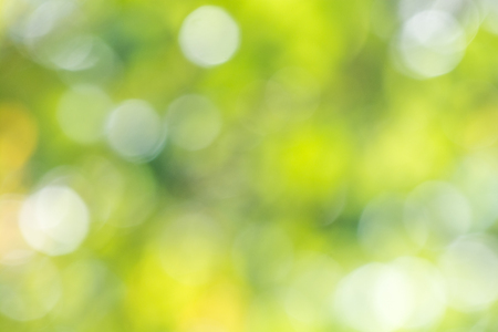 Green nature background abstract from green leavesの写真素材