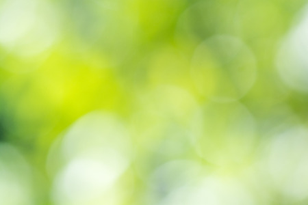 Green nature background abstract from green leavesの写真素材