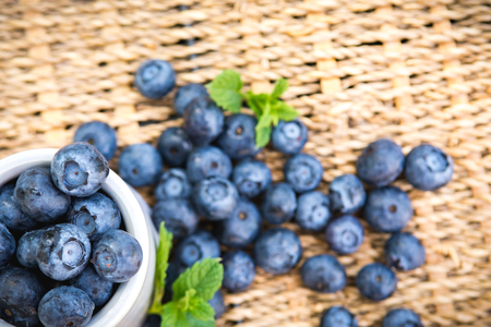 Blueberries. Freshly picked blueberry in ceramic bowl with berries and natural background. Blueberries are known to contain anitoxidant for nutrition health benefitsの写真素材
