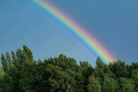 Bright Rainbow in stormy sky over forestの写真素材