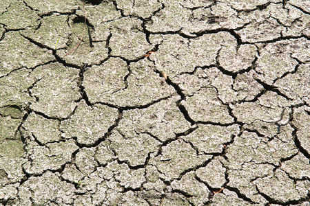 Dry cracked earth due to hot weather and droughtの写真素材