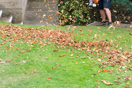 Man using a leaf blower to tidy a garden lawnの写真素材