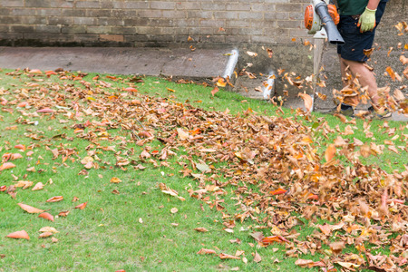 Man using a leaf blower to tidy a garden lawnの写真素材