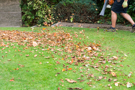Man using a leaf blower to tidy a garden lawnの写真素材