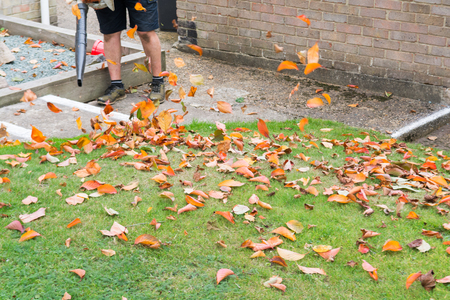 Man using a leaf blower to tidy a garden lawnの写真素材