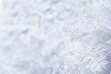White Christmas tree background with blurred snow effectの写真素材
