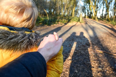 Father and son holding hands while walking in the forestの写真素材