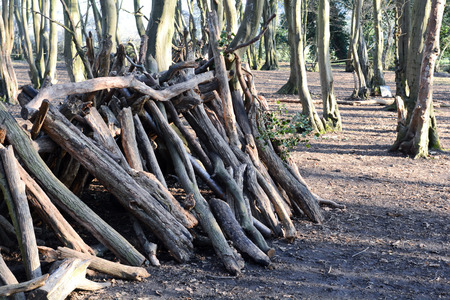 Dens or shelters made from logs and sticks in the forestの写真素材