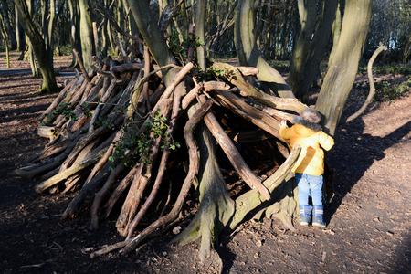 Young boy playing outside learning to build a den in the forestの写真素材