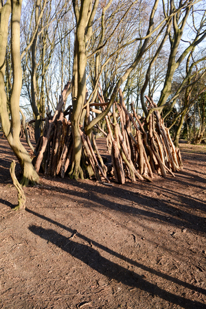 Dens or shelters made from logs and sticks in the forestの写真素材