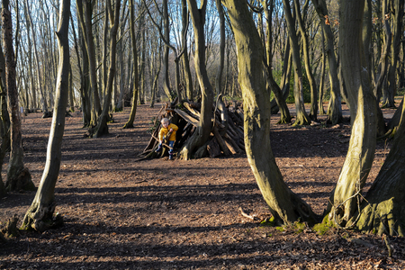 Young boy playing outside learning to build a den in the forestの写真素材