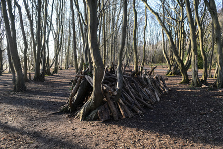 Dens or shelters made from logs and sticks in the forestの写真素材