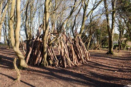 Dens or shelters made from logs and sticks in the forestの写真素材