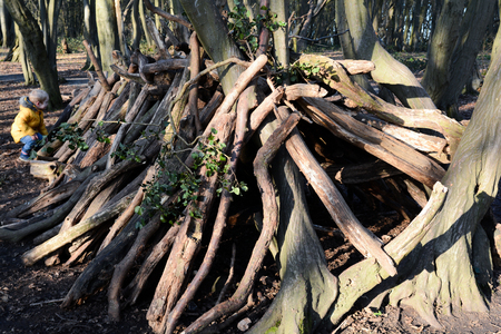 Young boy playing outside learning to build a den in the forestの写真素材
