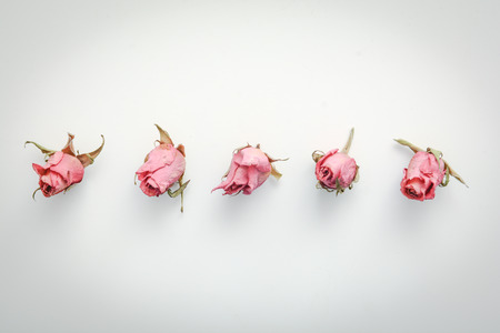 Dried flower still life with rose flowersの写真素材