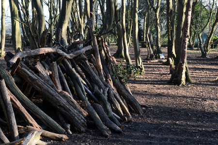 Dens or shelters made from logs and sticks in the forestの写真素材
