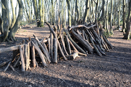 Dens or shelters made from logs and sticks in the forestの写真素材