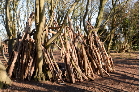 Dens or shelters made from logs and sticks in the forestの写真素材